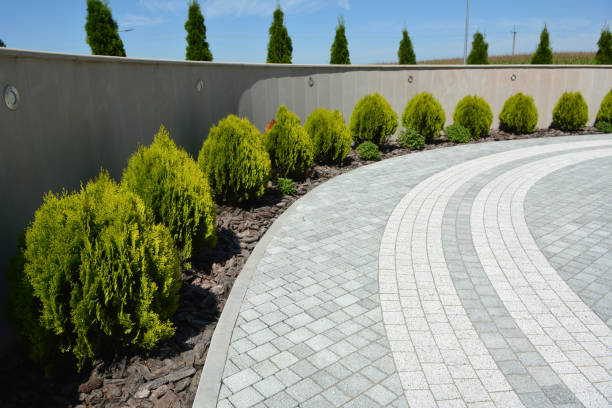 Best Concrete Paver Driveway  in Clewiston, FL